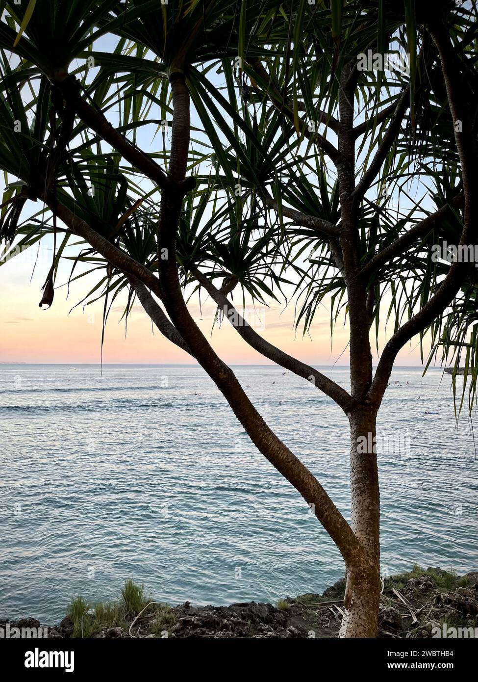 Indonesia, isola di Bali Foto Stock