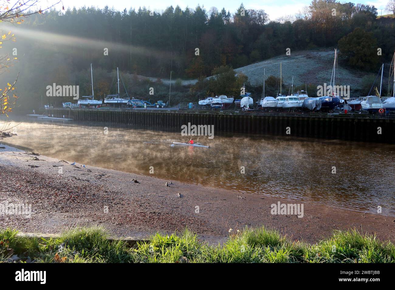 Un canottiere solitario e la nebbia mattutina sul fiume Dart a Totnes, nel sud del Devon durante la bassa marea. Foto Stock