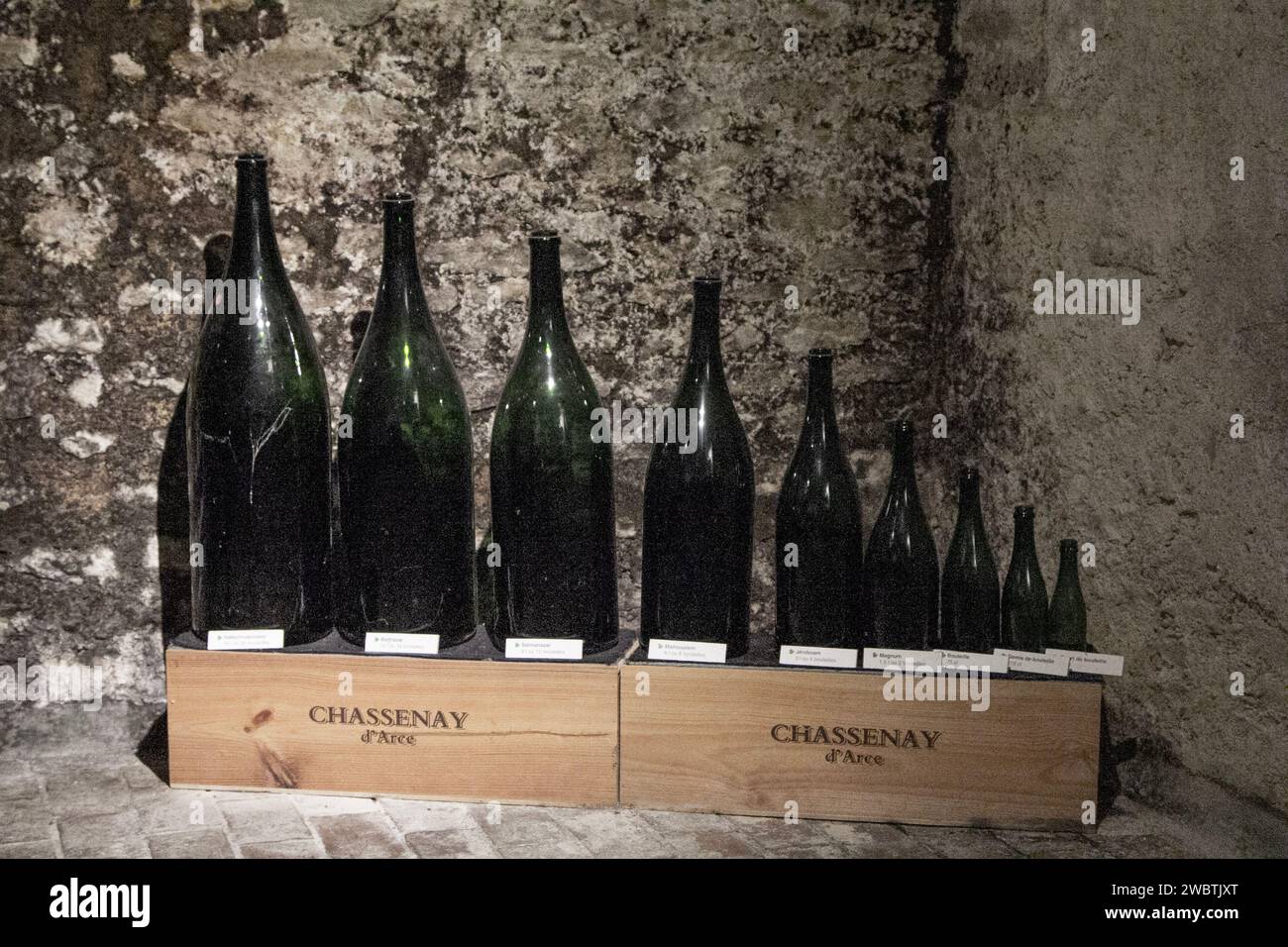 Nove delle 14 dimensioni di bottiglie di champagne disponibili, esposte a Chassenay d'Arce, una cooperativa di produttori di champagne a Ville-sur-Arce, in Francia. Foto Stock