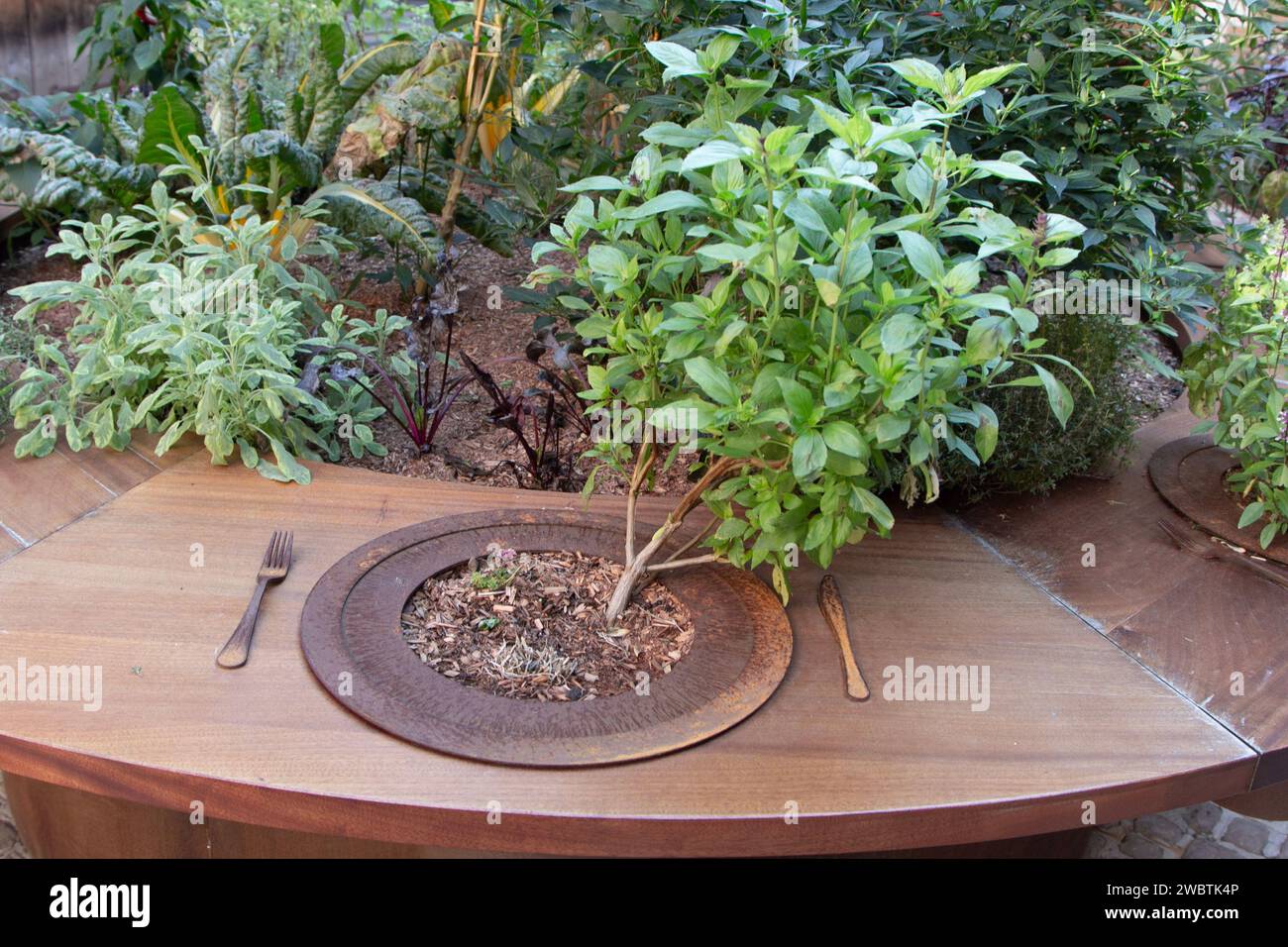 Dettaglio della divertente e fantasiosa esposizione di piante commestibili nel giardino "potere delle piante" presso la Maison de l'Outil (museo degli strumenti) a Troyes, in Francia. Foto Stock