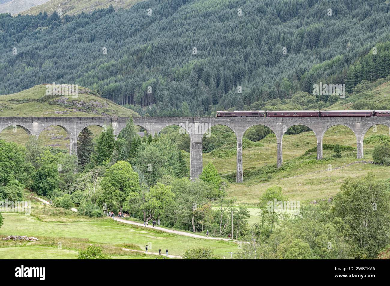 Locomotiva diesel d'epoca Royal Scotsman sul viadotto di Glenfinnan, Highlands, Scozia Foto Stock