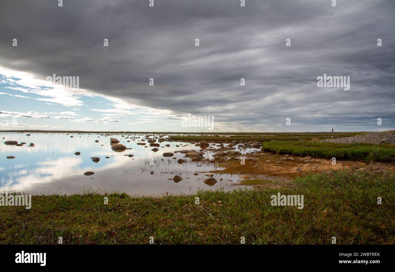 Paesaggio artico con piante di salice verde in primo piano e uno stagno poco profondo sullo sfondo con cieli parzialmente ricoperti, vicino ad Arviat, Nunavut, Canada Foto Stock