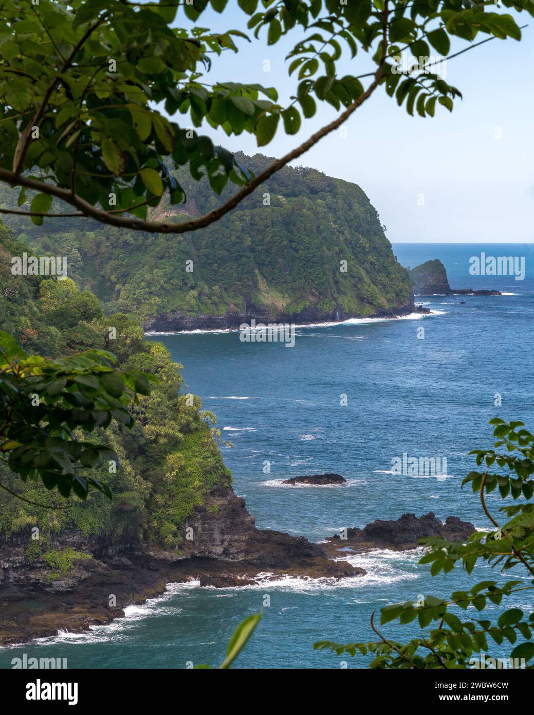 Affacciate sul tranquillo Pacifico, le lussureggianti scogliere costiere di Maui rivelano la bellezza mozzafiato lungo la strada per Hana. Foto Stock