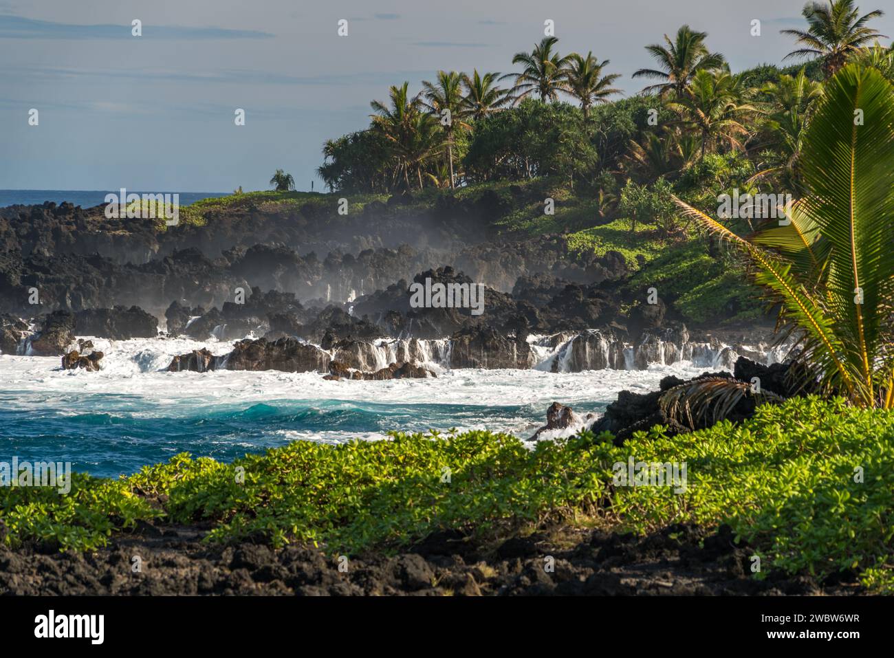 Aspre rocce laviche e lussureggianti palme incorniciano il dinamico litorale nei pressi di Hana, Maui, dove la potenza dell'oceano è a schermo intero. Foto Stock