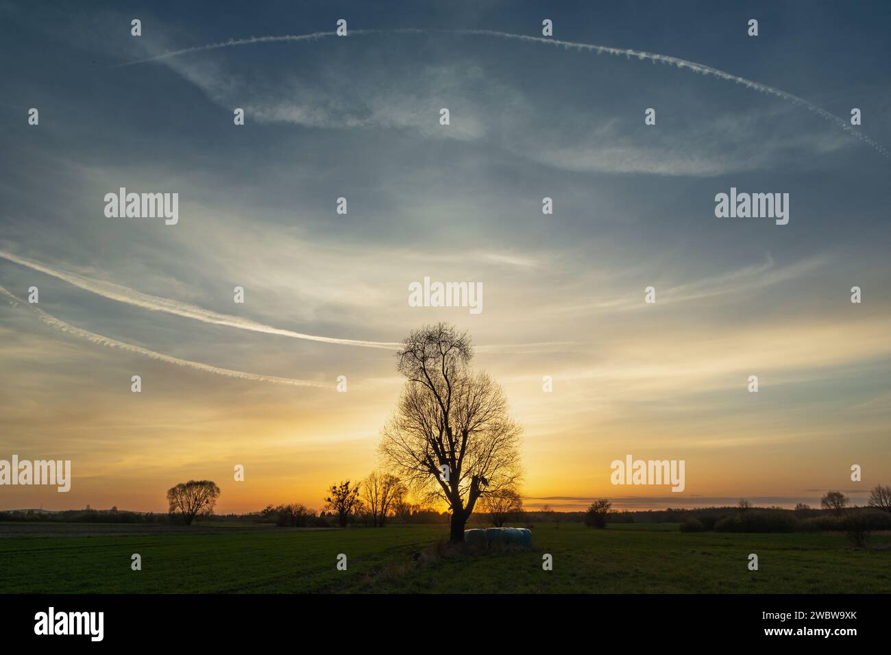 Tramonto sul prato, giorno primaverile Foto Stock