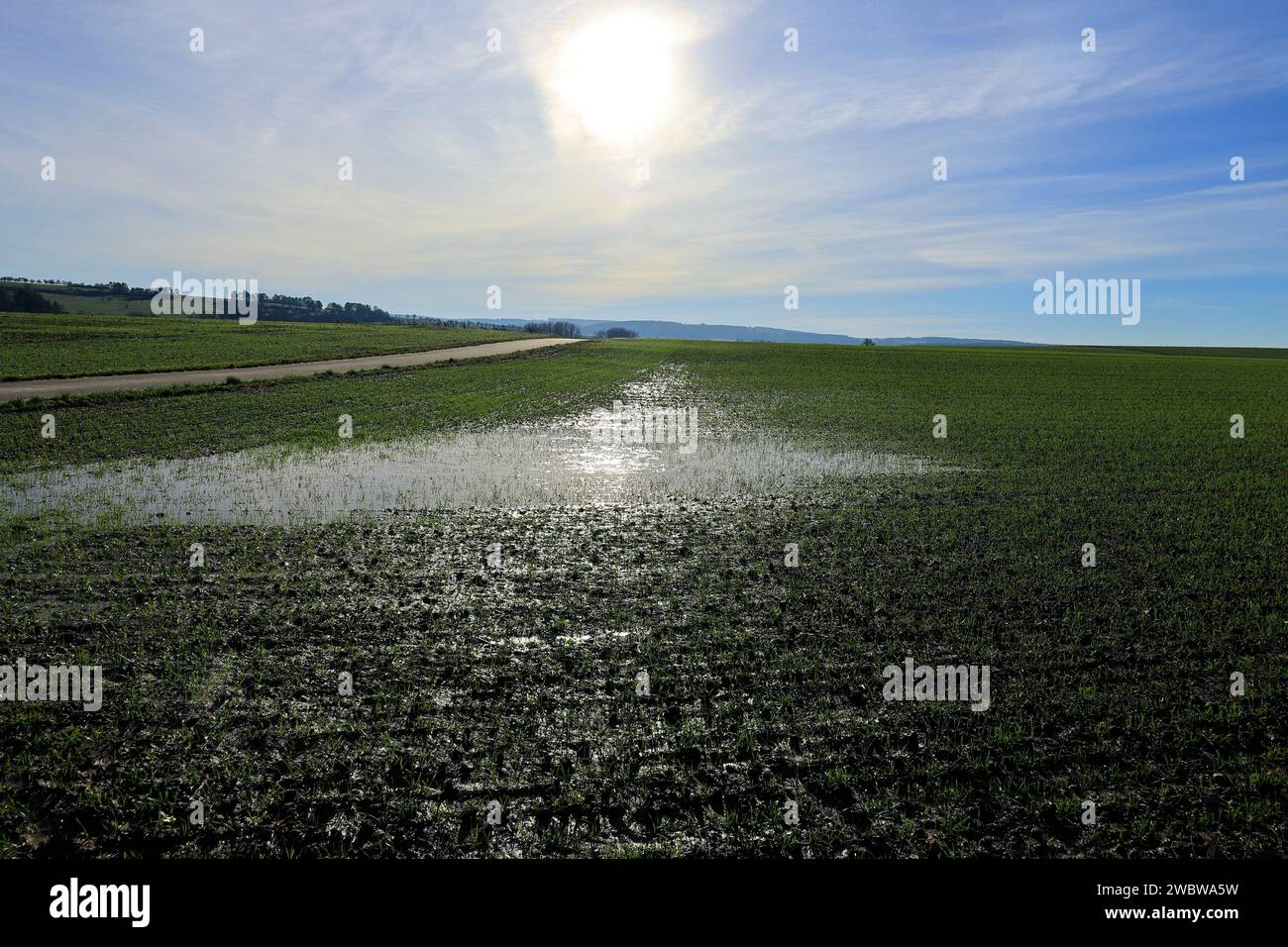 Il prato di Heckengäu vicino a Friolzheim è inondato dopo una pioggia Foto Stock