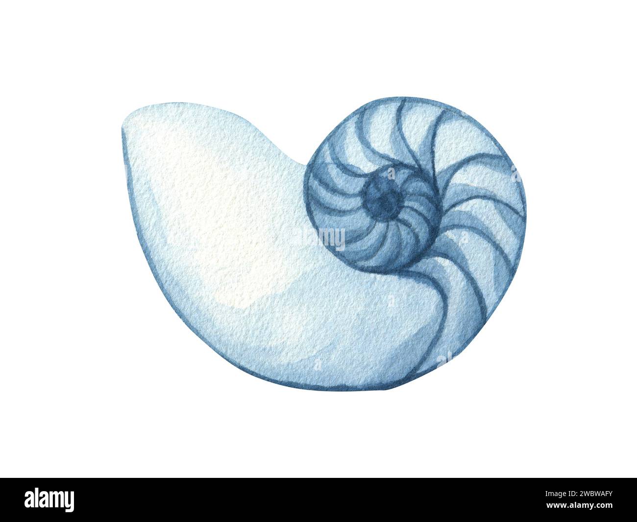 Illustrazione nautica acquerello, conchiglie trasparenti blu. Disegno su sfondo bianco per cartoline, adesivi, scrapbooking, poster, stampe Foto Stock