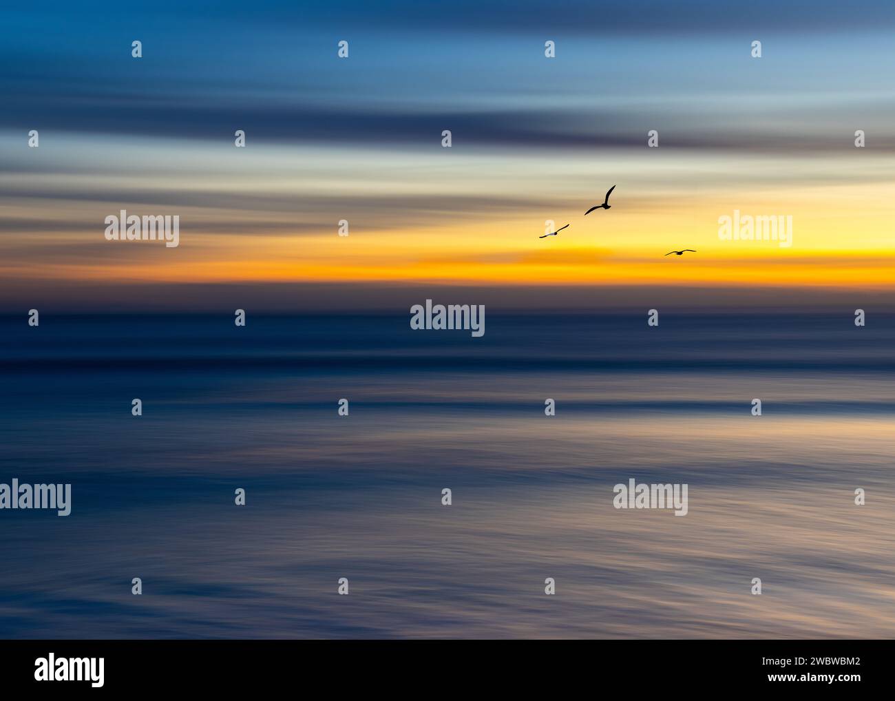 "Incantevole tramonto sull'oceano con uccelli in volo, perfetto per ispirarsi ai viaggi, arredamento tranquillo e app per la consapevolezza. Foto Stock