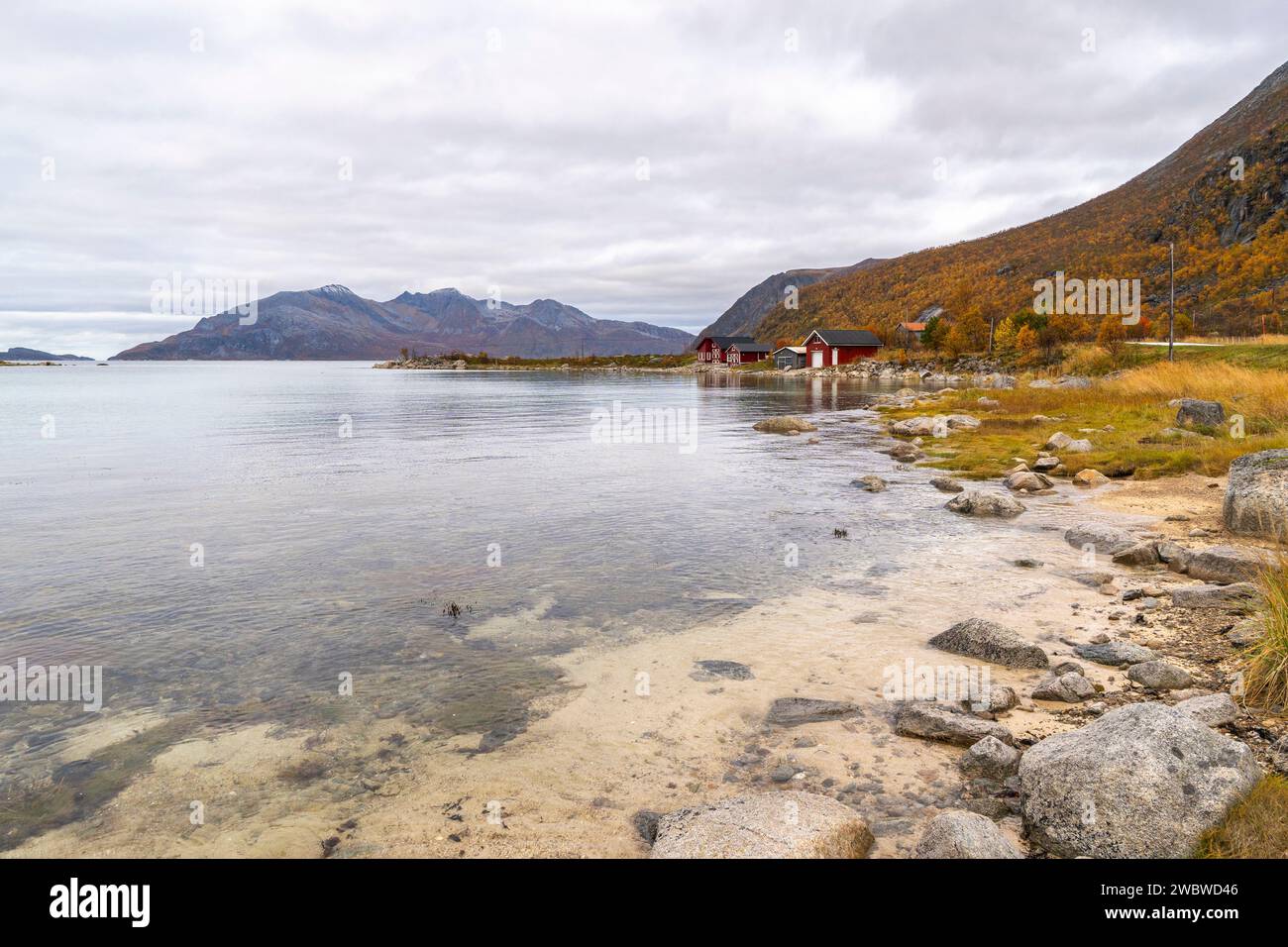 rotes Haus am SEE, herbstlich gefärbte Wiesen und Bäume in Norwegen, Grøtfjord, am Atlantik. Bootshaus am Fjord in der stillen Landschaft Foto Stock