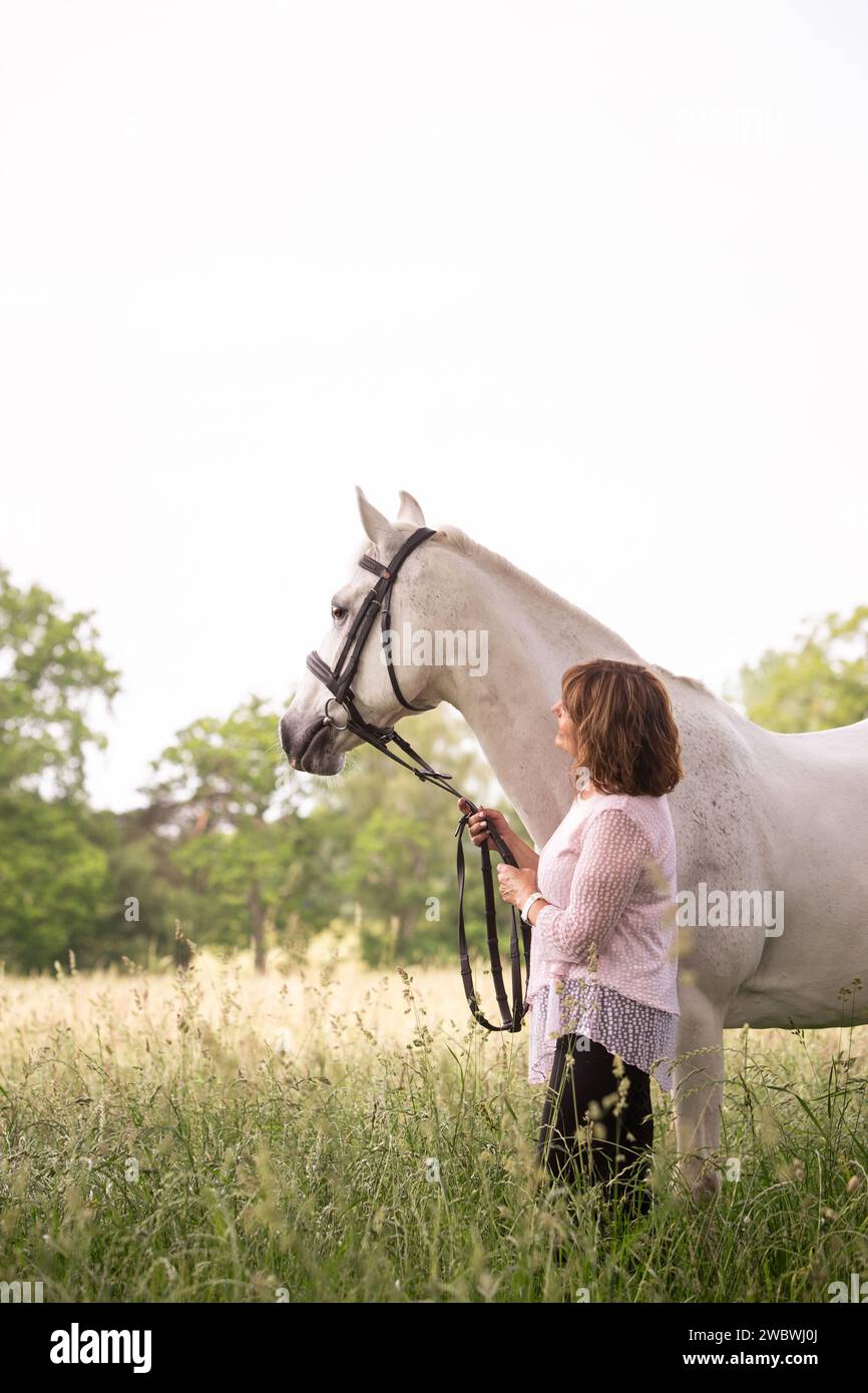 cavallo e cavaliere Foto Stock