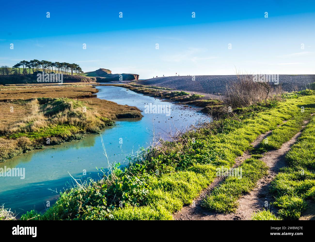 Progetto di restauro del fiume Lower Otter. Otter Head. Foto Stock