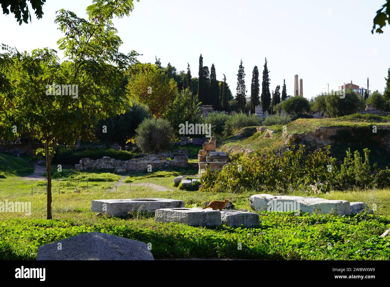 Un gatto in piedi su pietre antiche, nell'antico cimitero di Keramikos, ad Atene, in Grecia Foto Stock