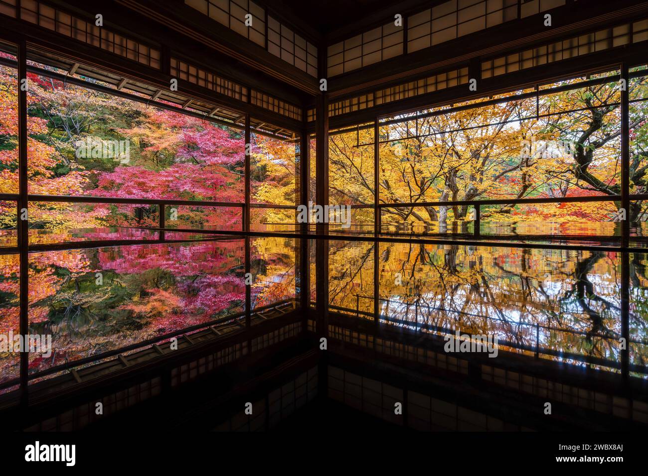 Autunno a Kyoto, Giappone, splendido giardino giapponese nel tempio buddista durante la stagione autunnale. Foto Stock