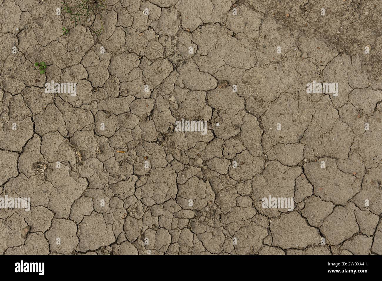 Terreno incrinato dalla siccità. Foto Stock