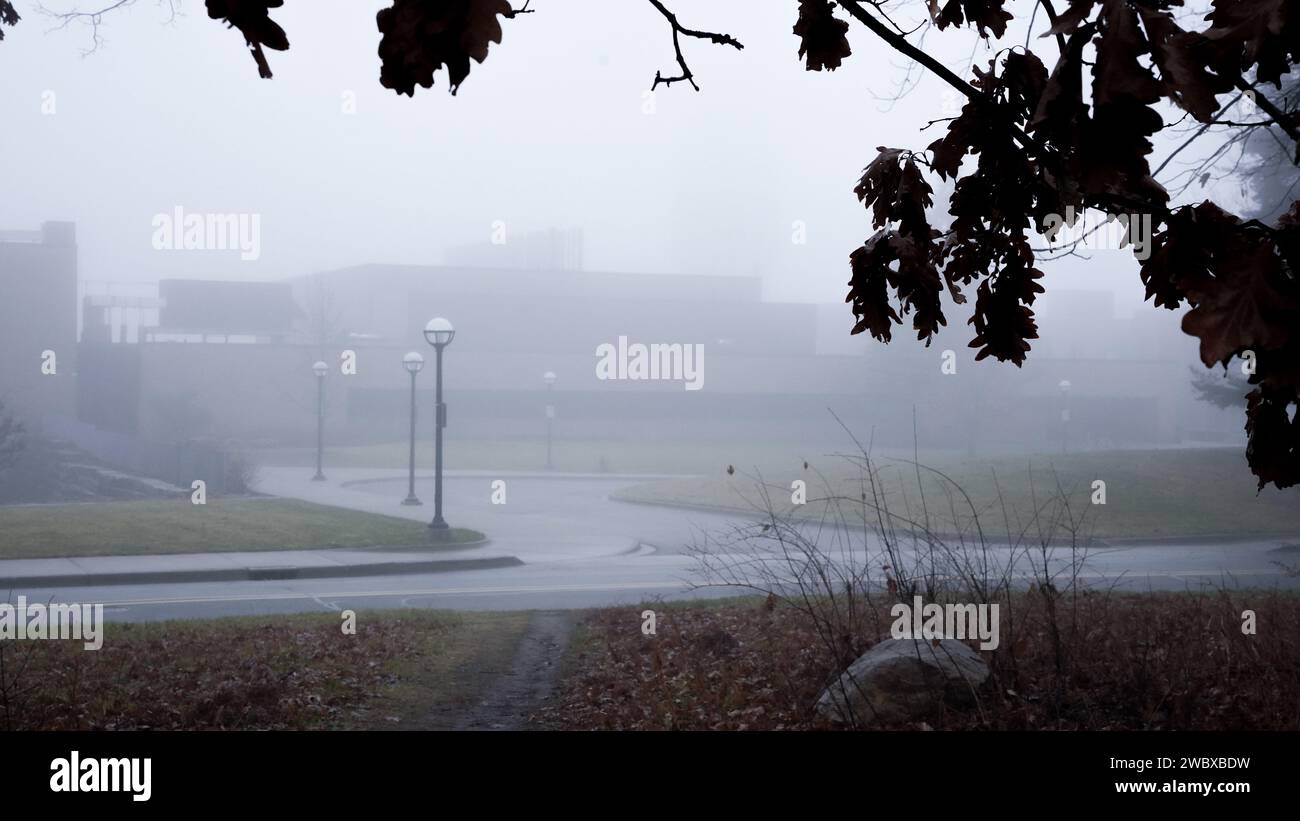 Un paesaggio pittoresco che mostra un vasto campo con un paesaggio urbano nebbioso sullo sfondo Foto Stock