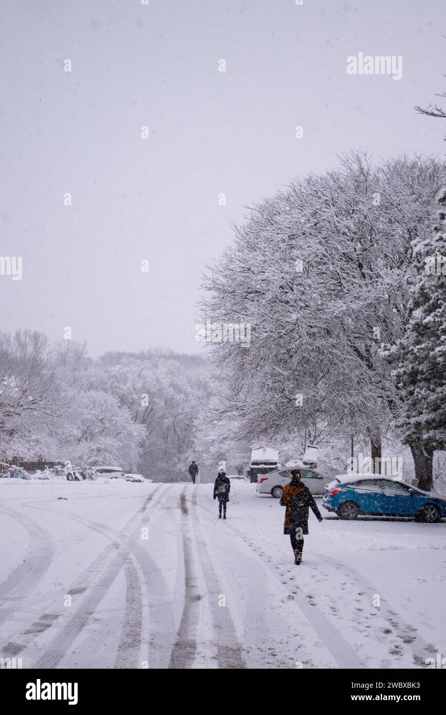 Un gruppo di individui può essere visto passeggiare attraverso un paesaggio innevato, con una fila di veicoli visibili sullo sfondo Foto Stock