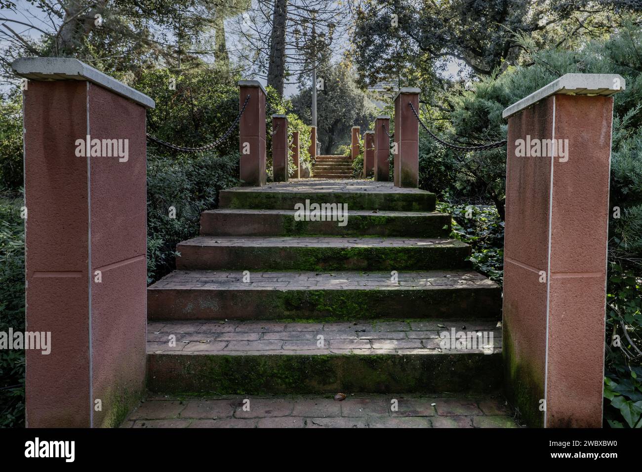 Scale di costruzione all'aperto con gradini ricoperti di muschio verde nel mezzo di una fattoria con molta vegetazione Foto Stock
