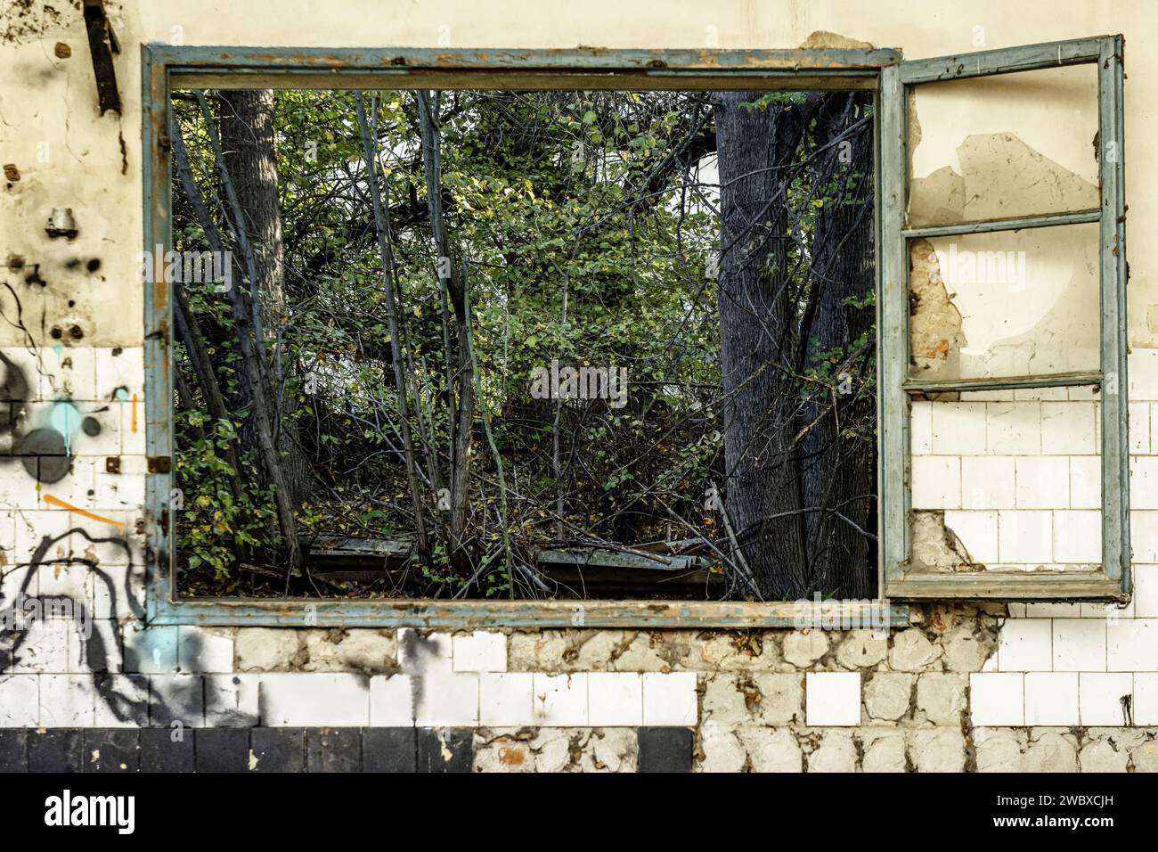 Una camera in un edificio abbandonato e fatiscente con finestre che si affacciano su un mucchio di sottobosco Foto Stock