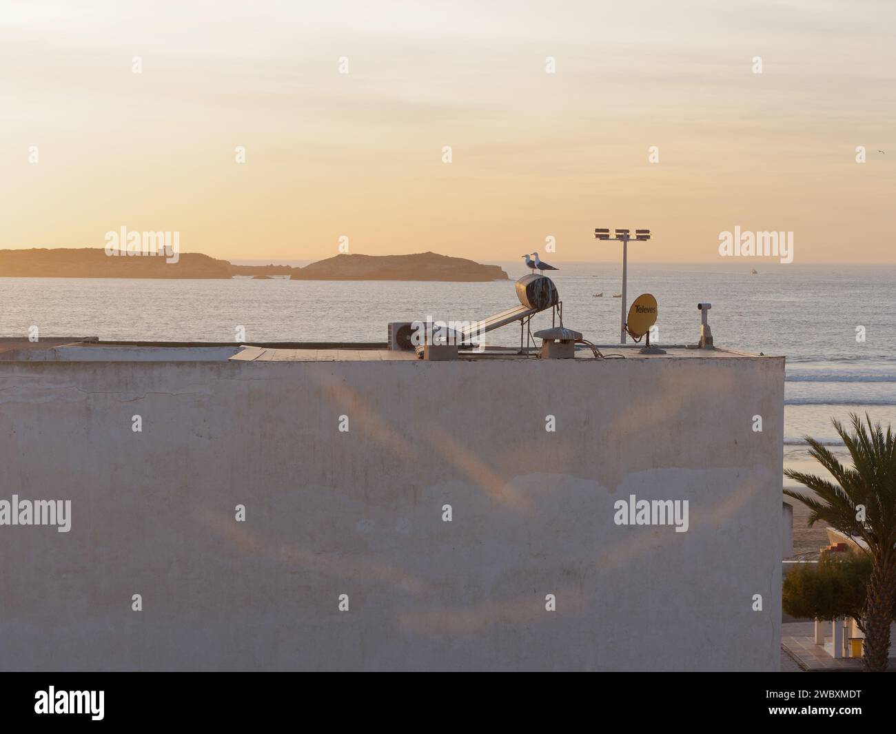I gabbiani siedono in cima ad un semplice edificio bianco mentre il sole tramonta sul mare e sull'isola di Essaouira, Marocco, il 12 gennaio 24 Foto Stock