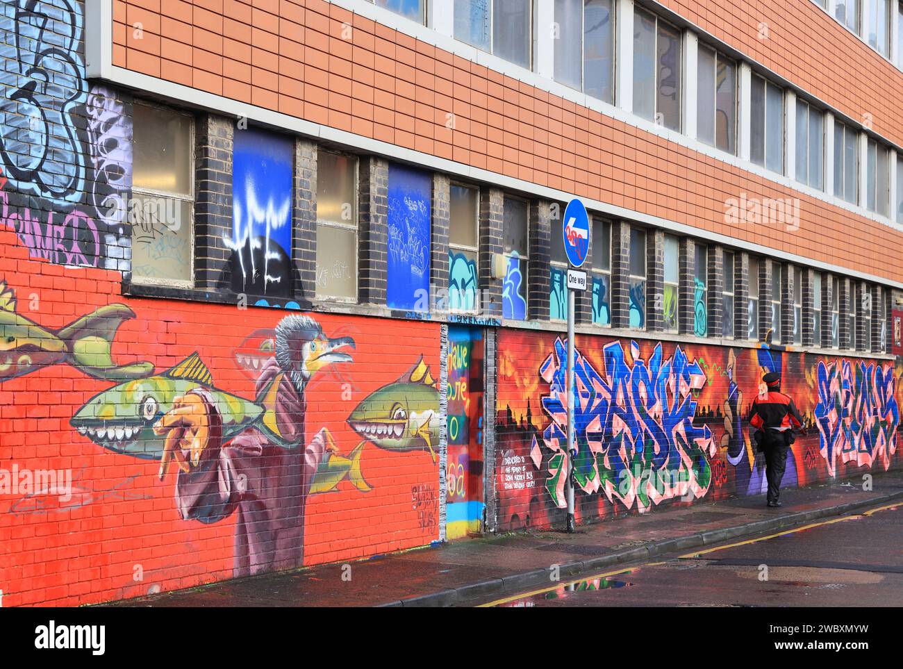 Il Consiglio di Belfast ha chiesto agli artisti locali di illuminare Kent Street nel Cathedral Quarter, il che ha portato ad alcune grandi opere di Street art, NI, Regno Unito Foto Stock