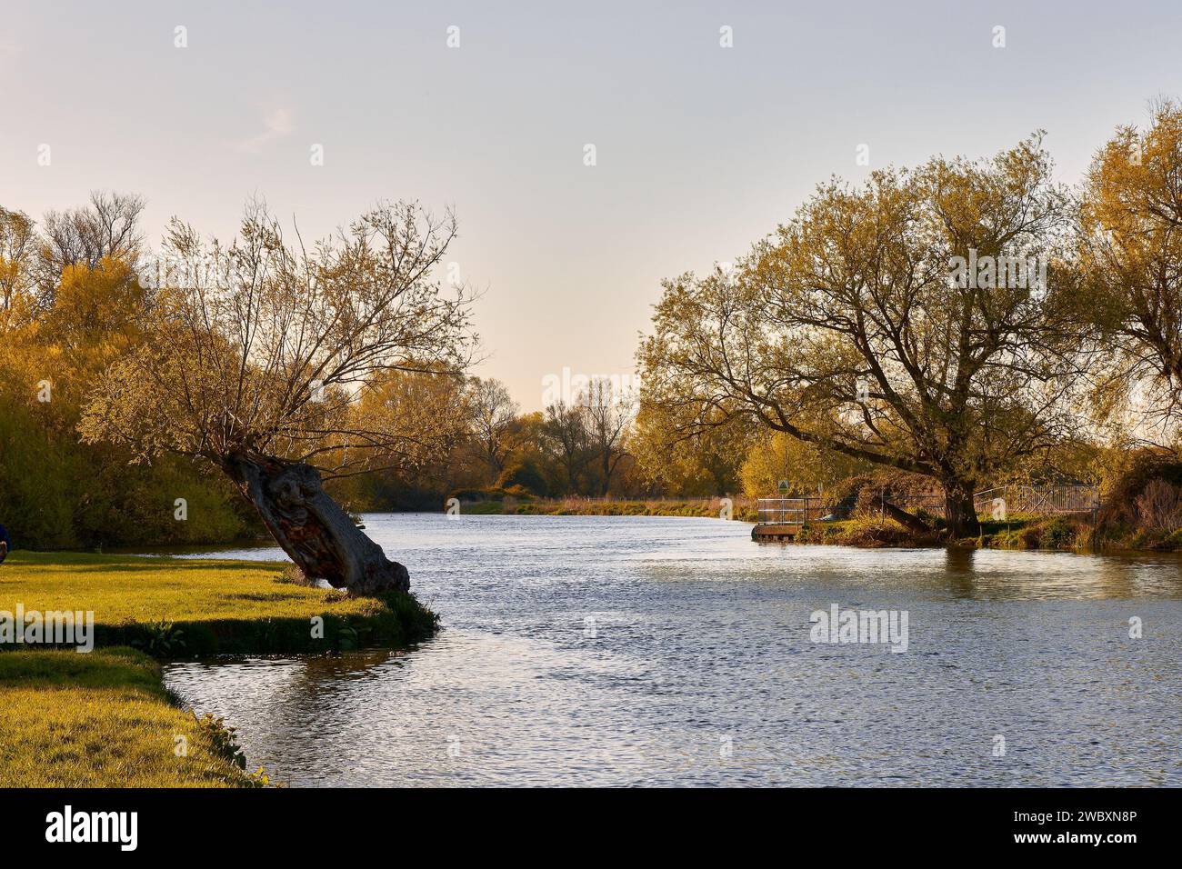 River Great Ouse, Hemingford Grey, Cambs Foto Stock