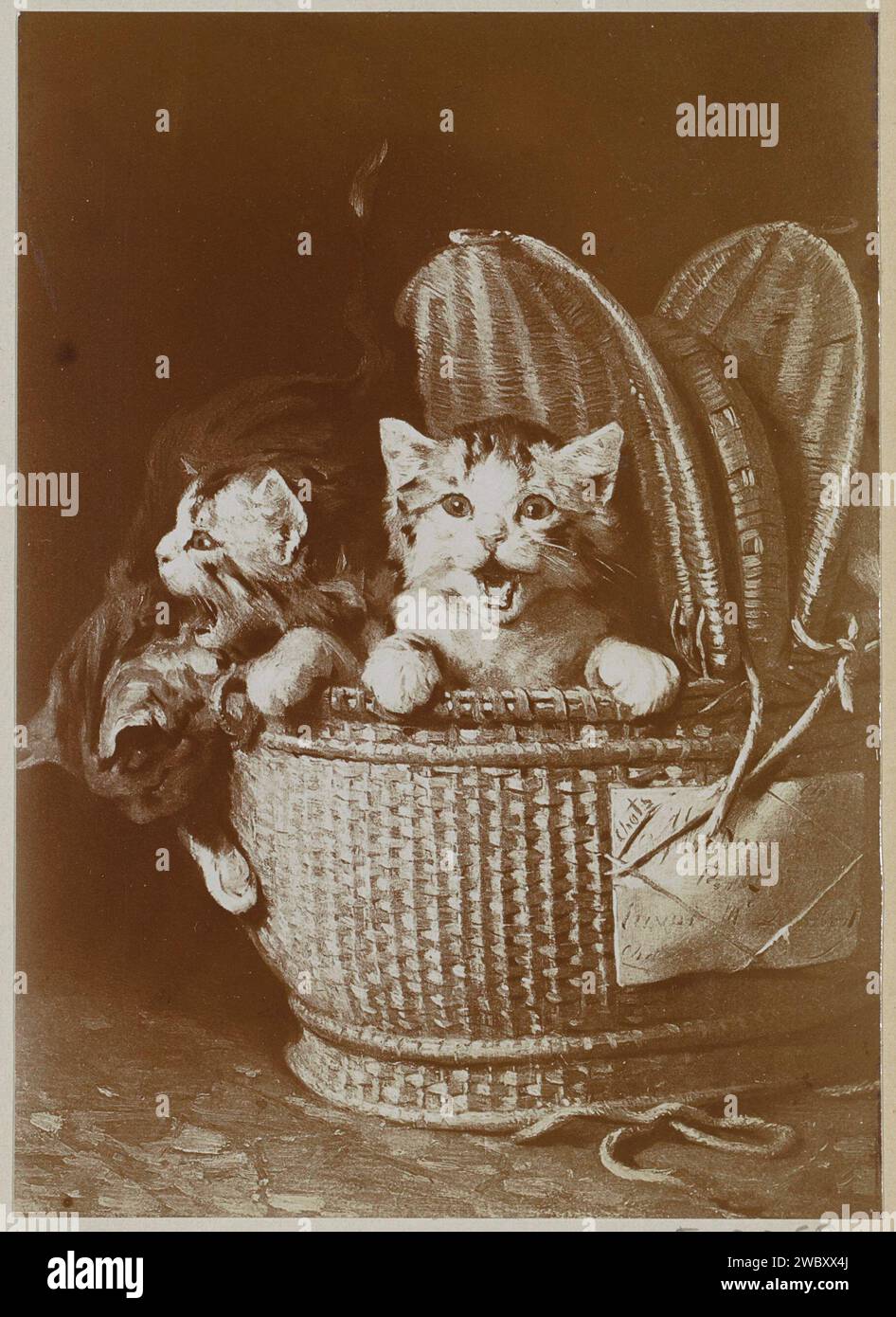 Produzione fotografica di un dipinto con giovani gatti in un cesto di Eugène Lambert, Anonimo, c. 1900 - c. 1910 Fotografia parte di album di famiglia con foto di Wijnhandel Kraaij & Co. Bordeaux-Amsterdam. supporto fotografico stampa argento gelatina cat Foto Stock