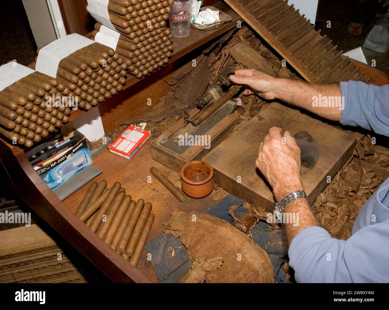 Dimostrazione di produzione, produzione di sigari Vargas presso l'aeroporto di la Palma, Isole Canarie, Spagna, Europa, tabacco da sigari Foto Stock