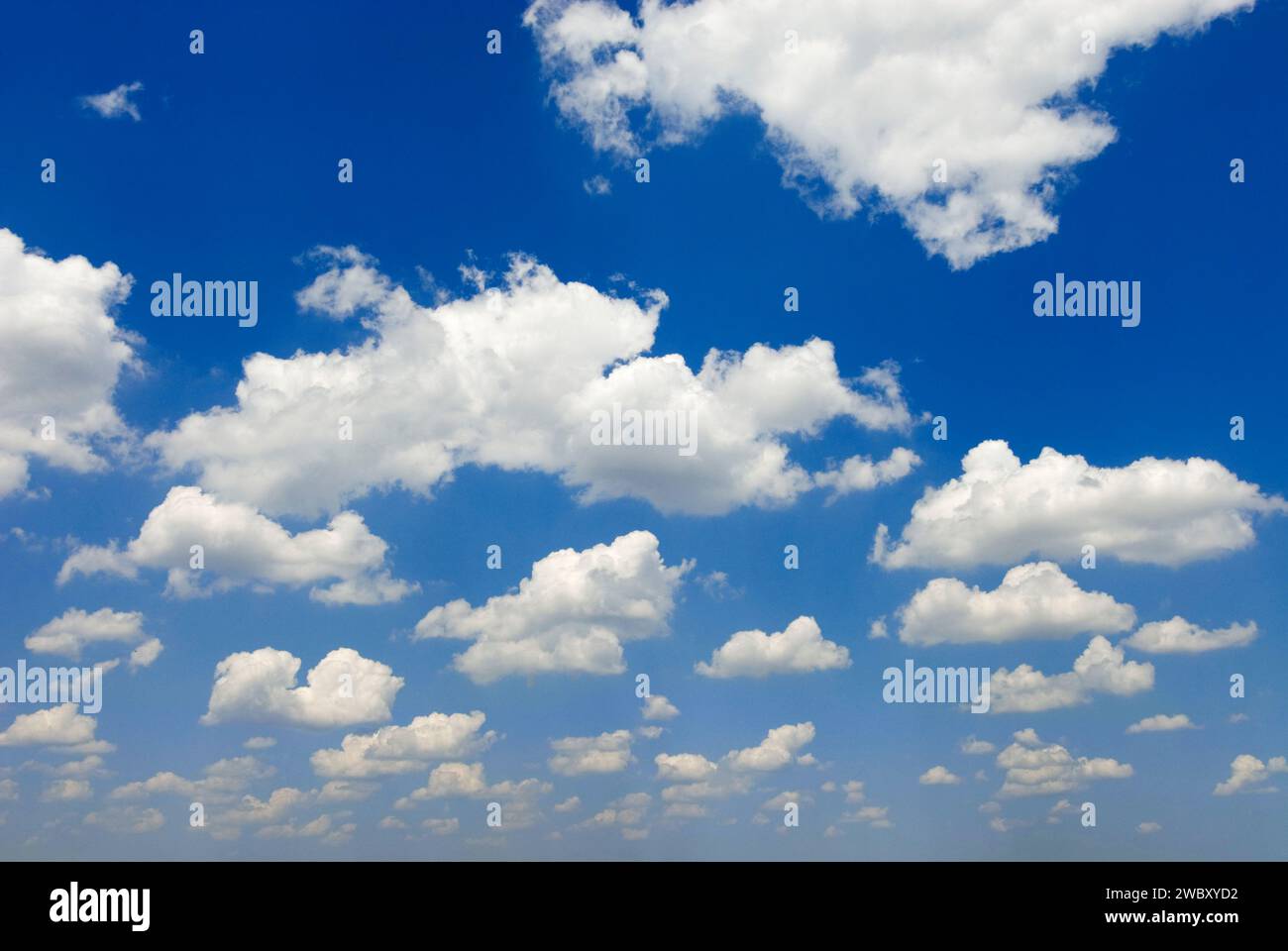 Cielo azzurro e bianco cumulus humilis nuvole tempo discreto, vicino Matera, Italia, Europa Foto Stock