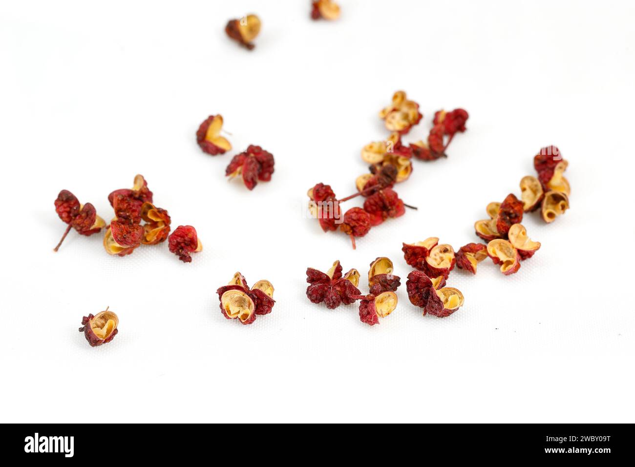 Grani secchi di pepe da Hong Pao Sichuan (Zanthoxylum bungeanum) 大紅袍 花椒 bacche di frassino d'India isolate su uno sfondo bianco. Foto Stock