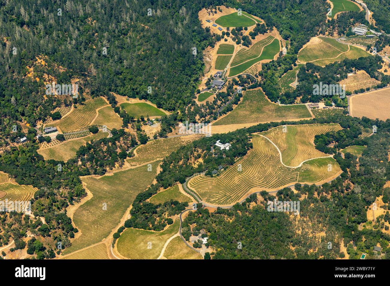 Vista aerea delle file terrazzate di piante nei campi agricoli, nei vigneti e nelle città agricole della California settentrionale Foto Stock