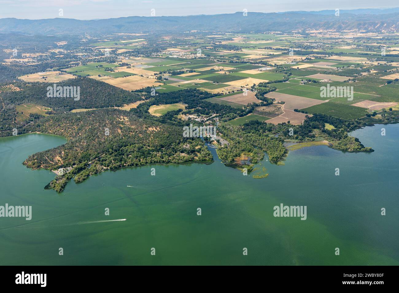Vista aerea delle acque verdi inquinate del lago Clear e degli effetti ambientali del deflusso agricolo che causa la fioritura delle alghe Foto Stock