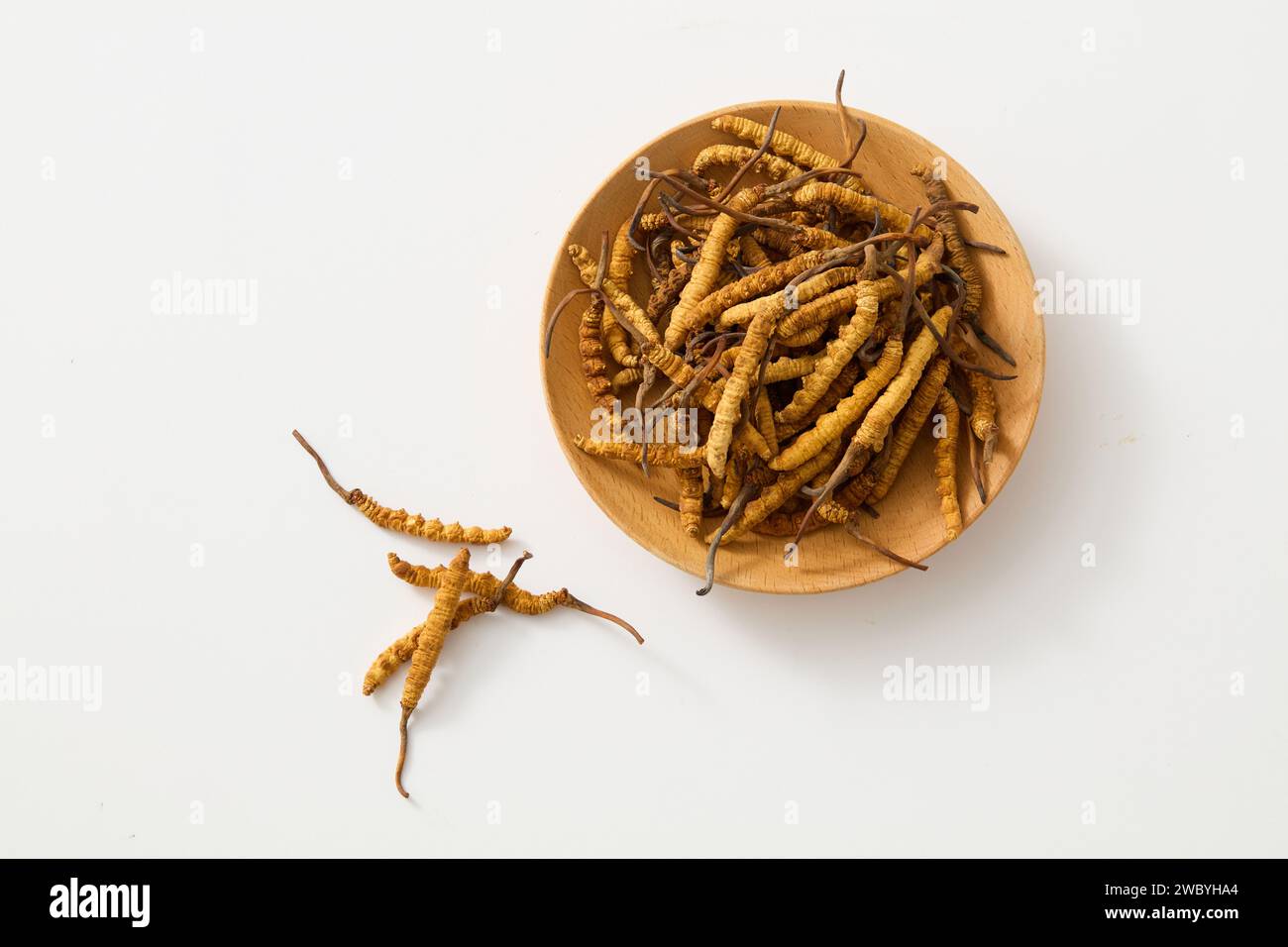 Scena minima di un piatto di legno contenente Cordyceps Sinensis essiccato su sfondo bianco. Gli integratori di Cordyceps hanno migliorato la funzionalità renale Foto Stock