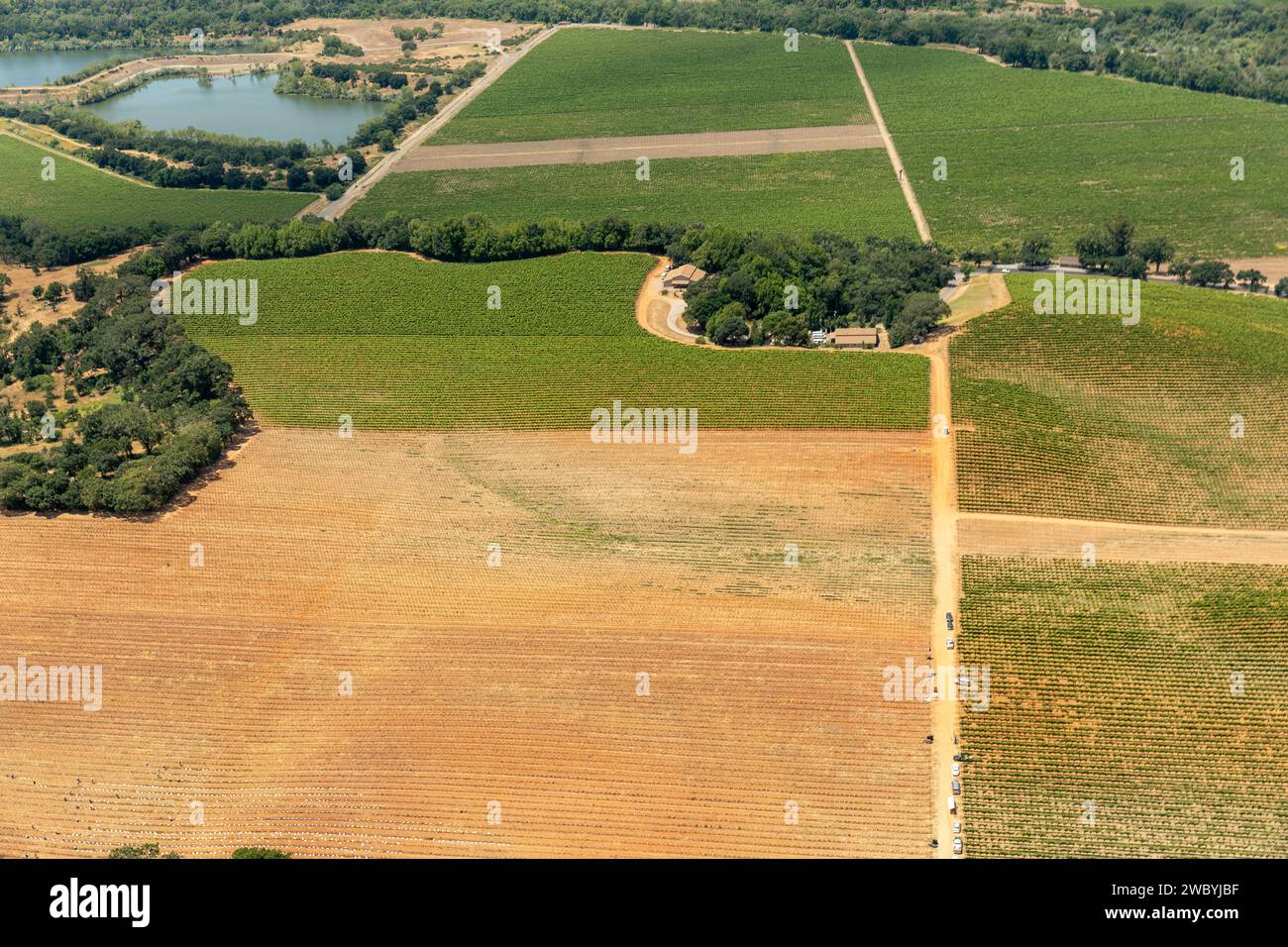 Vista aerea delle file verdi di piante nei campi agricoli, nei vigneti e nelle città agricole della California settentrionale Foto Stock