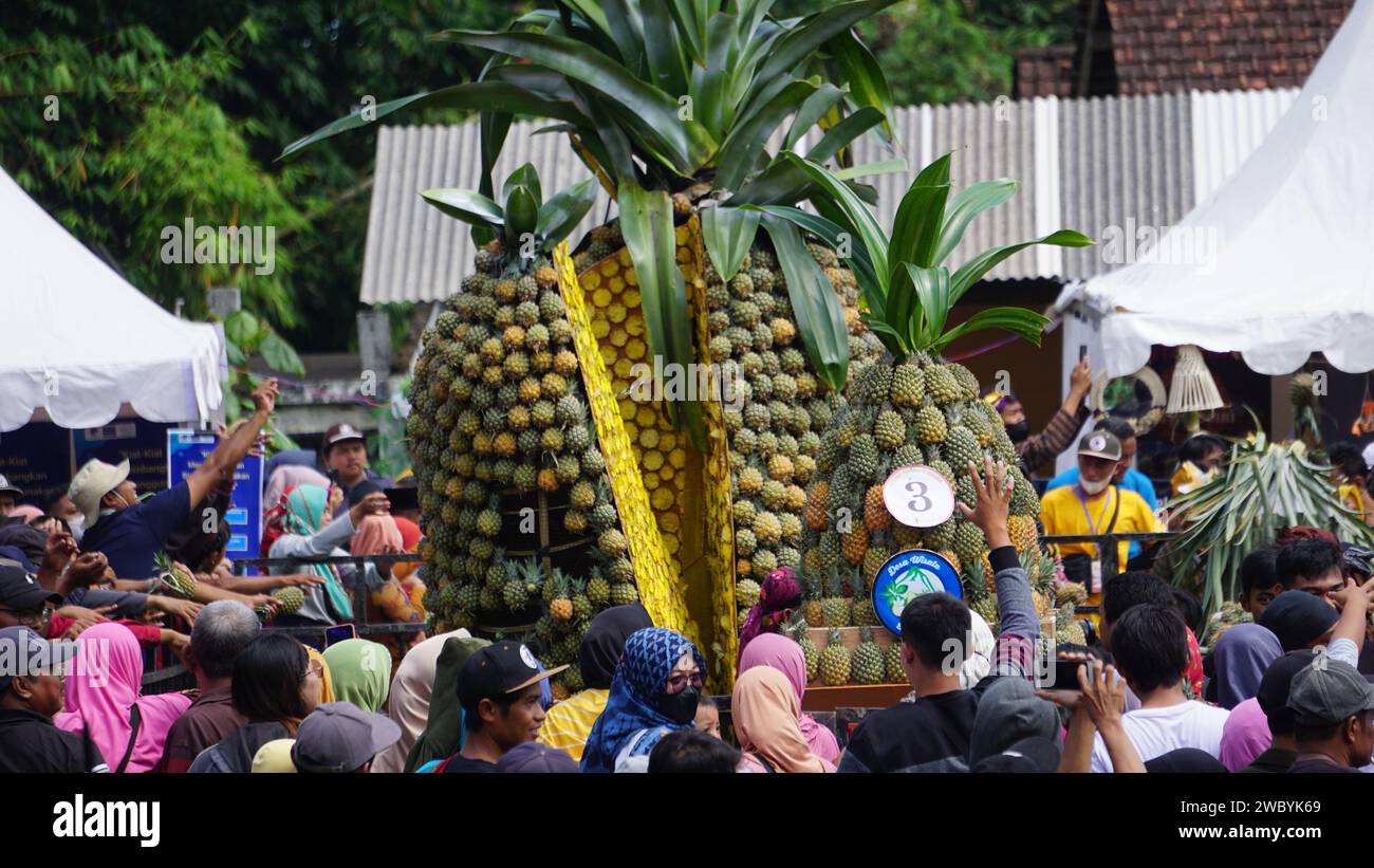 Festa dell'ananas a Kelud, Kediri, Giava Orientale, Indonesia Foto Stock