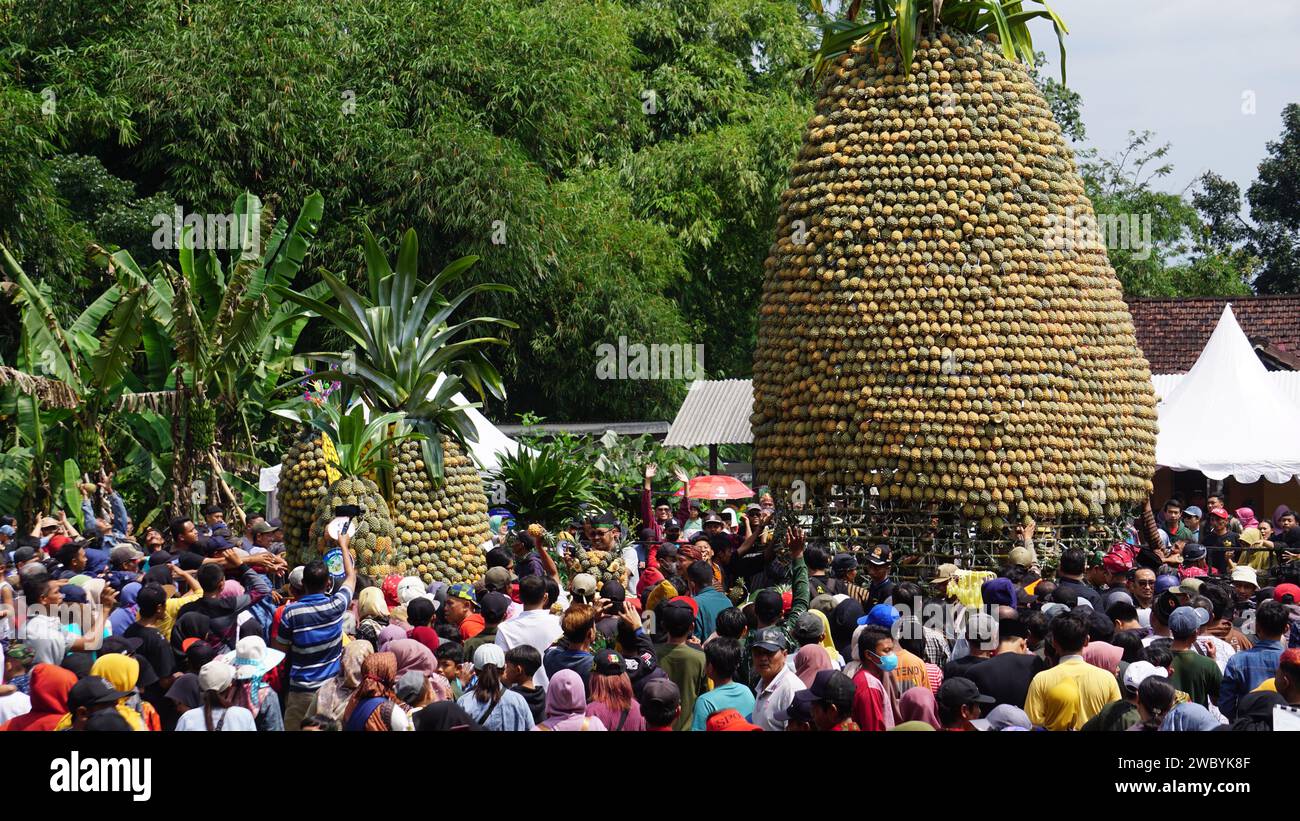 Festa dell'ananas a Kelud, Kediri, Giava Orientale, Indonesia Foto Stock