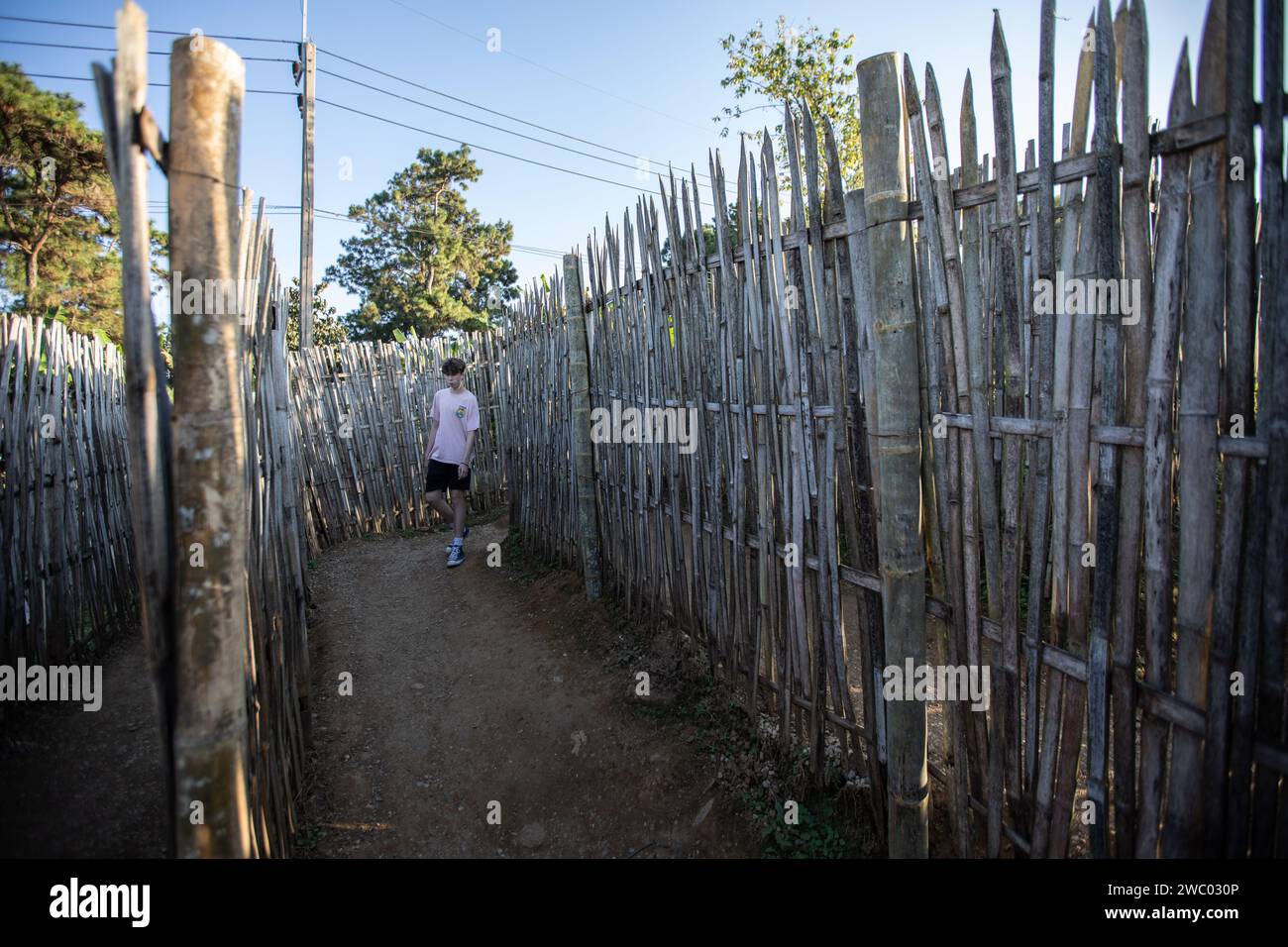 Un turista occidentale cammina attraverso lo stretto sentiero circondato da alte recinzioni di bambù per entrare nell'avamposto militare di Chang Moob. L'avamposto militare di Chang Moob ora trasformato in un luogo di attrazione turistica, era un luogo dell'esercito reale tailandese per prevenire il traffico di droga e tenere d'occhio altre attività sospette sul lato del Myanmar (soprattutto negli anni '1990). Chiamata anche "trincee di Doi Tung", inizia con uno stretto sentiero attraverso alte recinzioni di bambù prima di raggiungere il punto principale con profonde trincee lungo le sezioni più settentrionali del confine tra Thailandia e Myanmar, con una vista mozzafiato del monte Myanmar Foto Stock