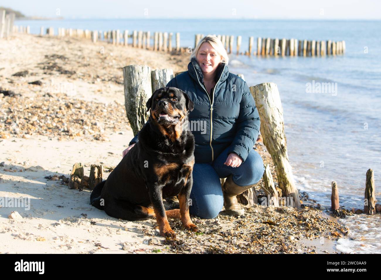 Cane Foto Stock