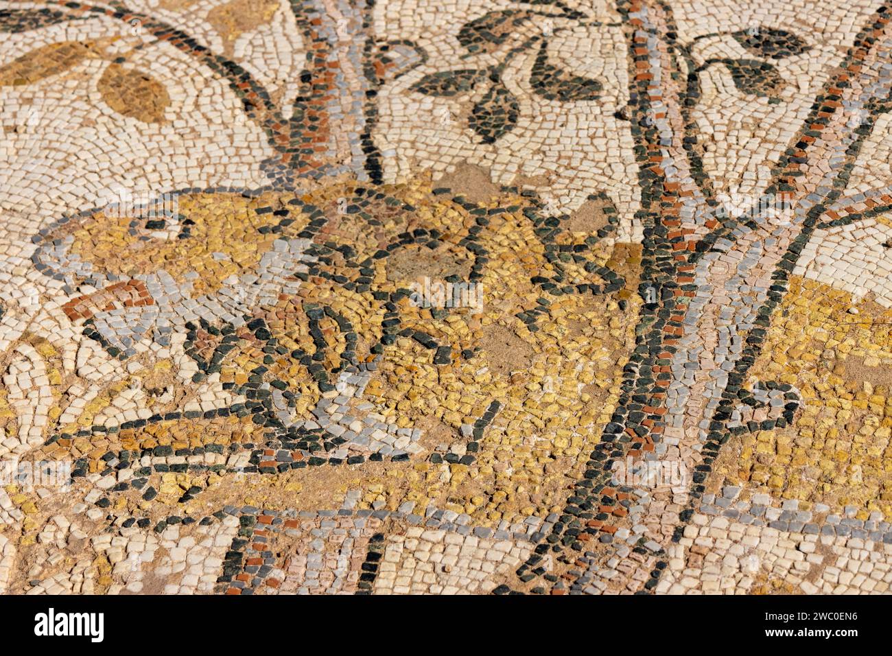 Uno splendido mosaico di leoni nell'antica città greca di Heraclea Lyncestis vicino all'odierna Bitola, in Macedonia del Nord. Preso in una giornata di sole con una buona luce Foto Stock