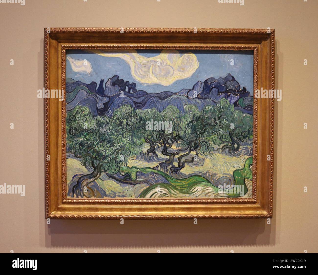 Museo d'arte moderna di New York Vincent van Gogh Foto Stock