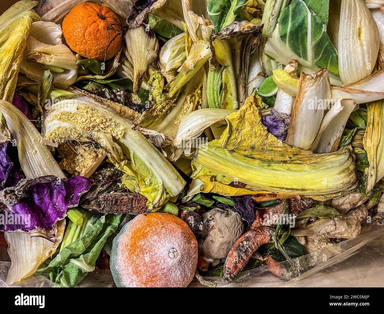 sfondo verde e giallo di molti tipi di frutta e verdura marciscono Foto Stock