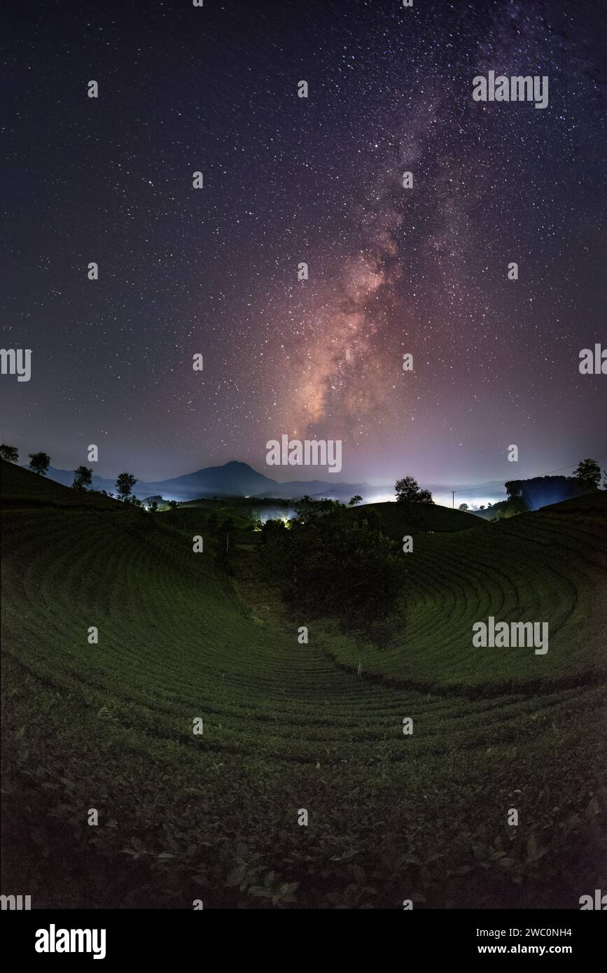Notte sulla collina del tè Long Coc con milkyway, provincia di Phu Tho, Vietnam. Foto Stock