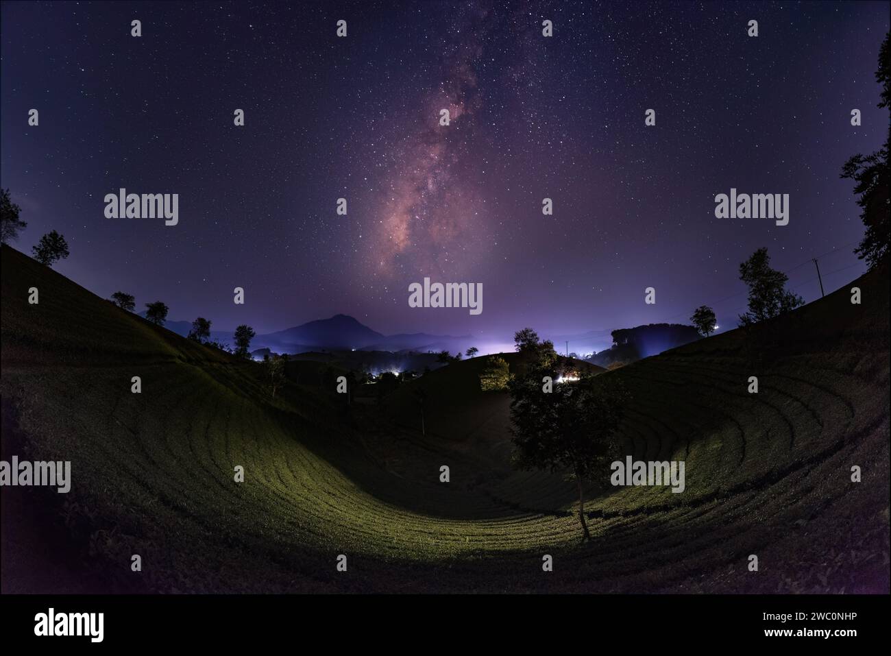 Notte sulla collina del tè Long Coc con milkyway, provincia di Phu Tho, Vietnam. Foto Stock