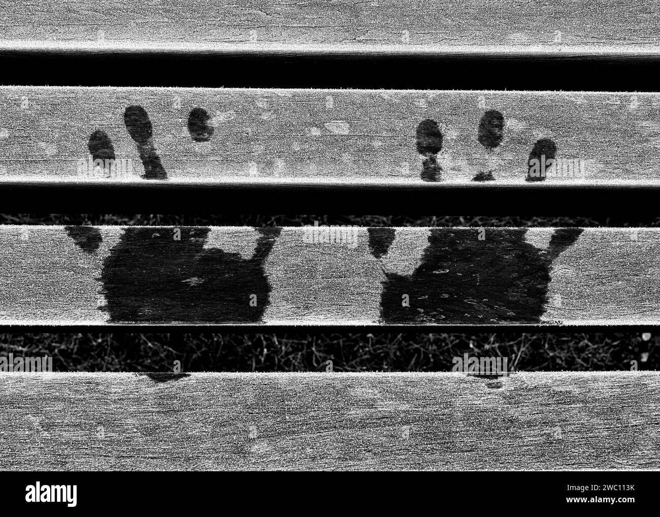 Un'immagine astratta in bianco e nero di stampe a mano su una panca gelata del parco di gennaio Foto Stock