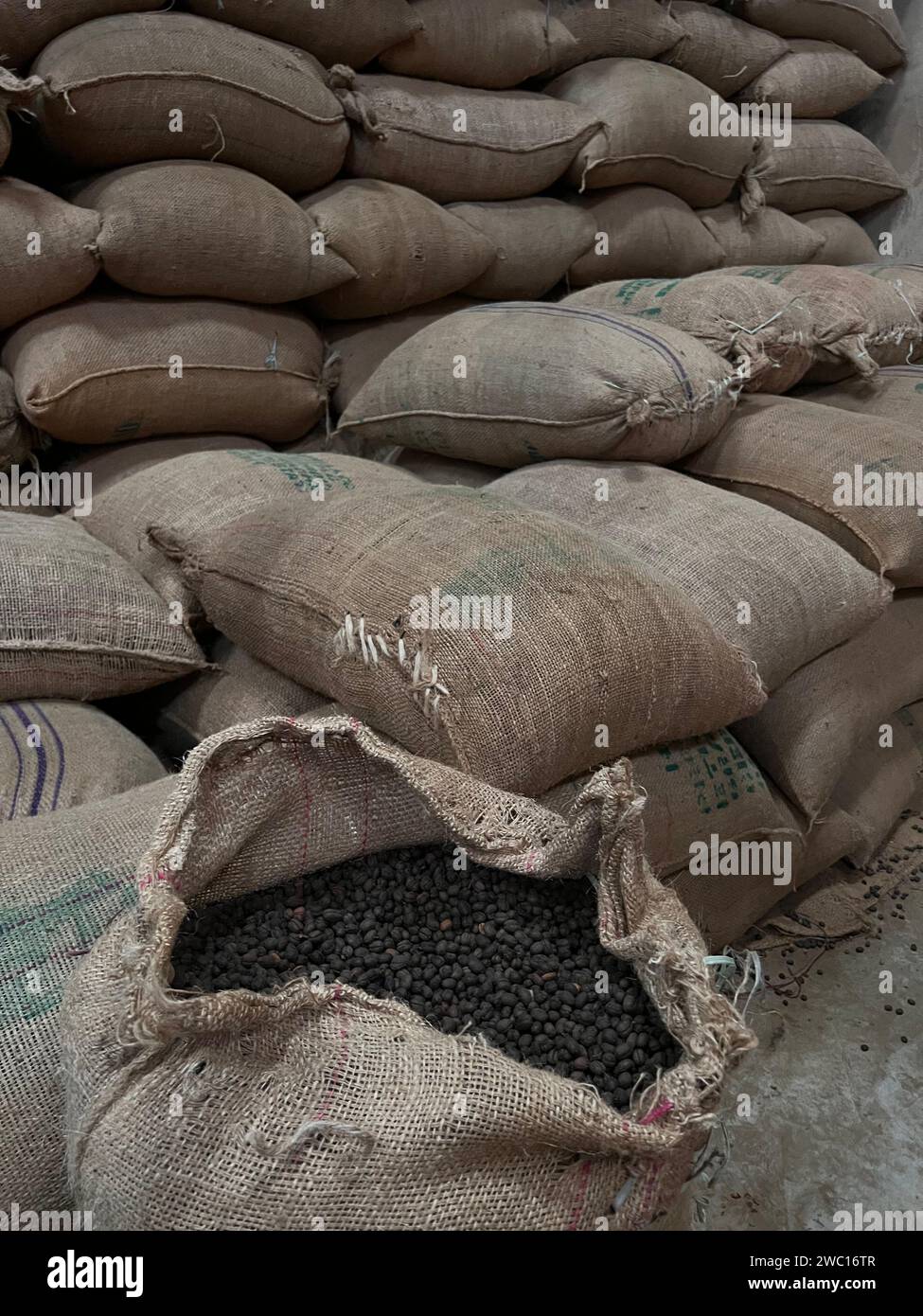 Sacchetto di tessuto pieno di chicchi di caffè tostati in attesa di essere venduti, Sidama, Etipoia Foto Stock