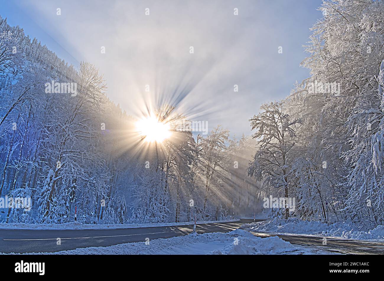 I raggi del sole attraversano la foresta innevata in un bianco paesaggio invernale Foto Stock
