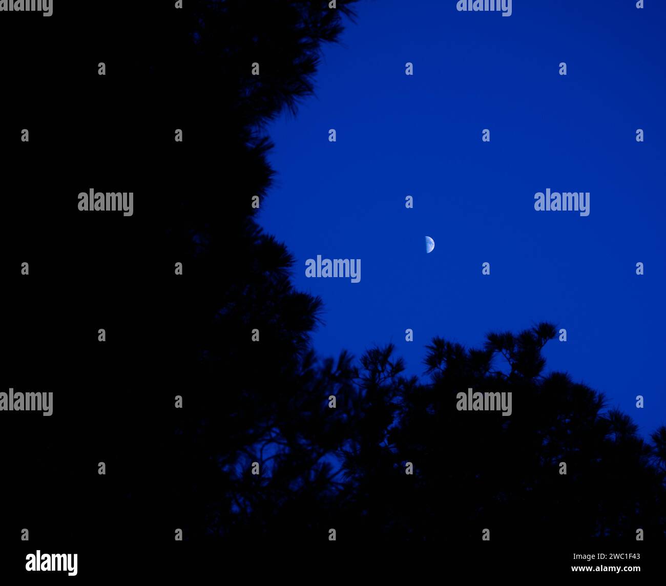 Foto a fuoco selettiva di mezza luna con cielo blu. Foto Stock