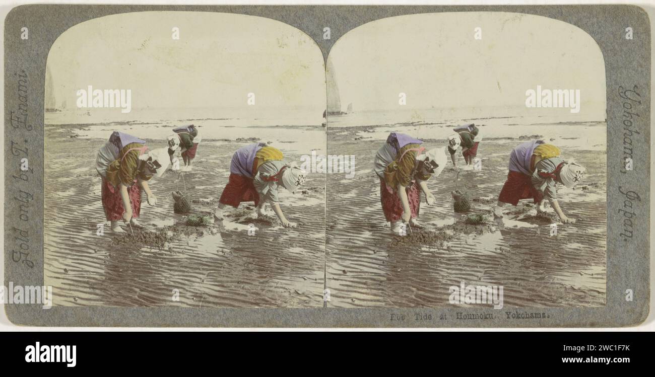 Le donne cercano i cazzi sulla spiaggia di Honmoku, Giappone, T. Enami, 1900 - 1907 stereografo Honmokupublisher: yokohama Cardboard. pesca di gusci di carta baryta. beach Honmoku Foto Stock