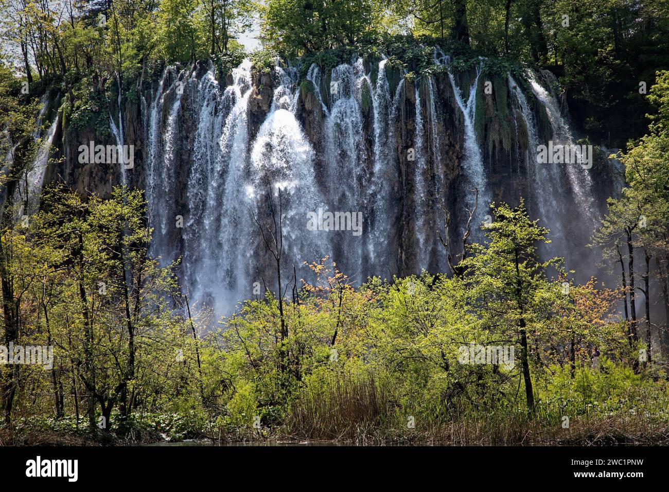 Le cascate si tuffano sulle creste rocciose del Parco Nazionale di Plitvice in Croazia. Foto Stock