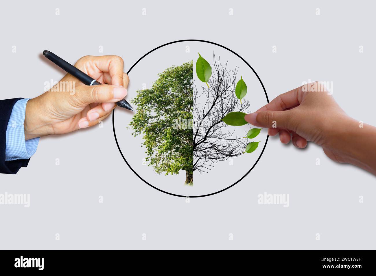 Mano che tiene una foglia sul lato di un albero con solo rami morti. Mano che tiene la foglia verde e una penna per scrivere sul lato dell'albero verde. E Foto Stock