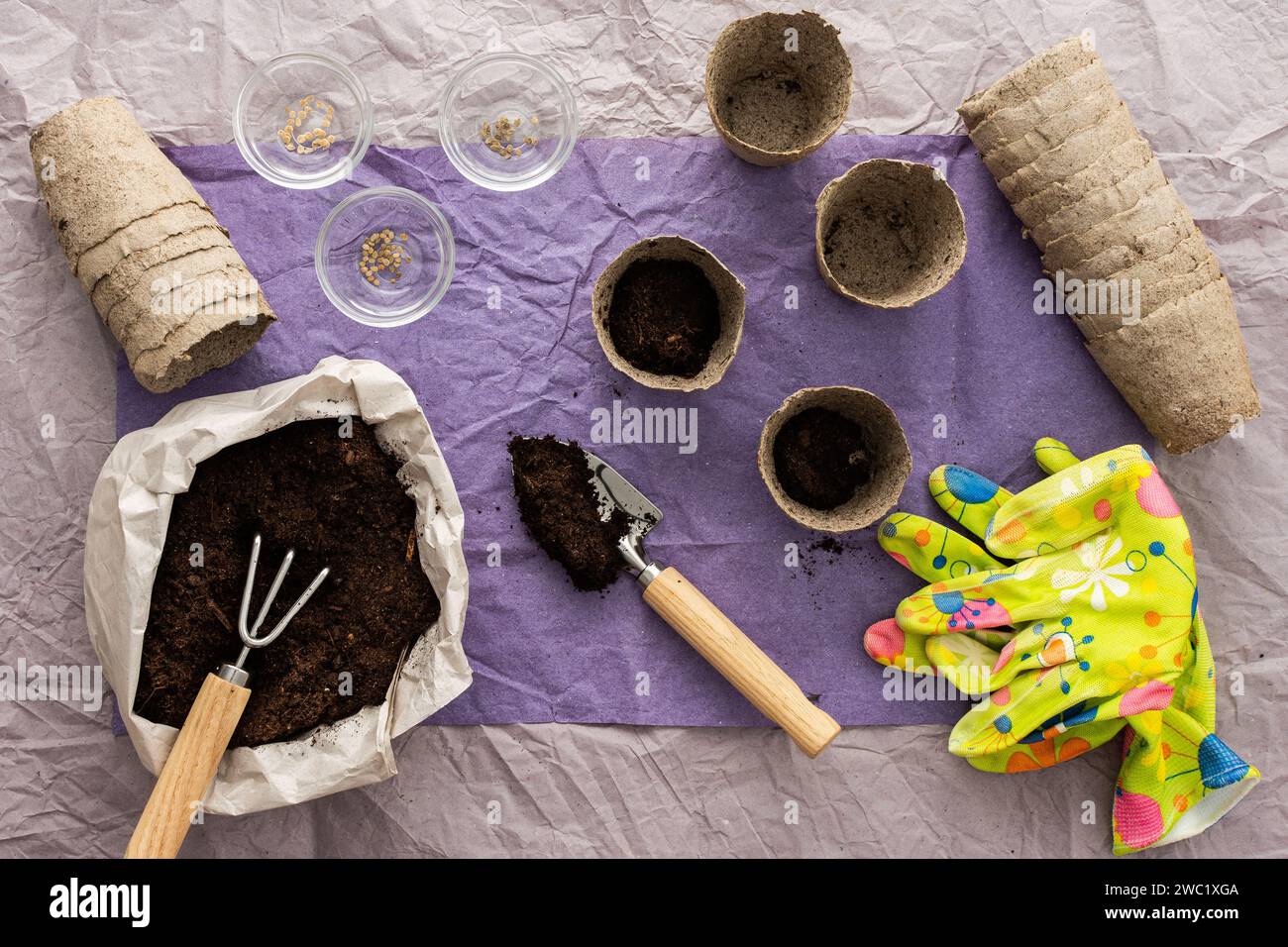Piantare piantine di pomodoro, vista dall'alto su un tavolo con pentole ecologiche e sacchetto con terreno e guanti, cazzuola da giardino e rastrello, preparazione per spr Foto Stock